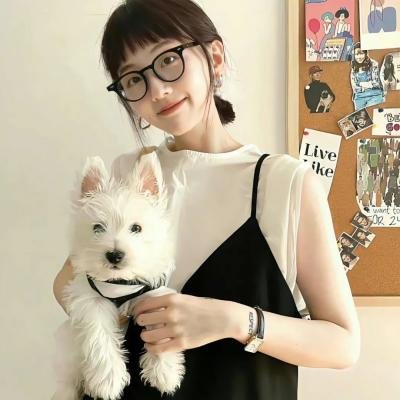 黄飞鸿